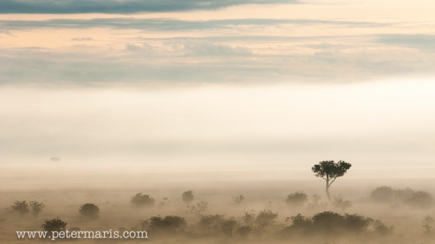 Uitzicht over de savanne van de Mara.